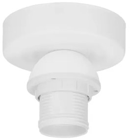 Stropné svietidlo NATIA 1xE27/60W/230V biela/hnedá