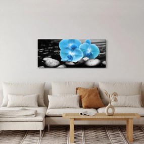 Obraz - Modrá orchidea (120x50 cm)
