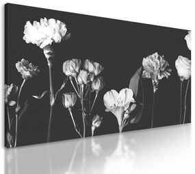 Obraz nádherné kvety v čiernobielom prevedení