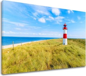 Obraz na stenu LÚKA_052-11