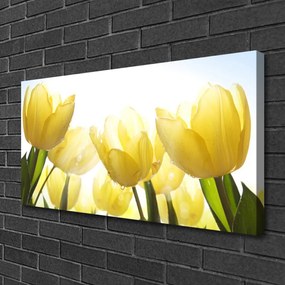 Obraz Canvas Tulipány kvety lúče 120x60 cm
