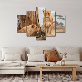 Obraz - dve levice (150x105 cm)