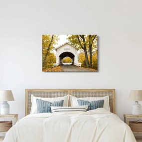 Obraz mosta v Oregone (90x60 cm)