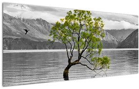 Obraz stromu uprostred jazera (120x50 cm)