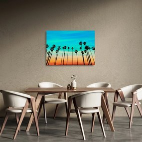 Sklenený obraz - Kalifornia (70x50 cm)