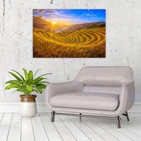 Obraz - Ryžové terasy vo Vietname (90x60 cm)