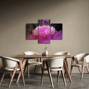 Obraz kvetiny v ružovom dyme (90x60 cm)