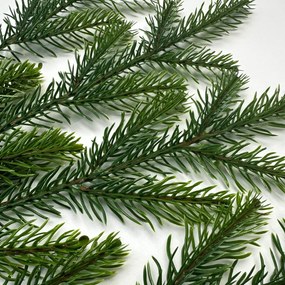 Smrek Beskydský 100% 3D- 225cm