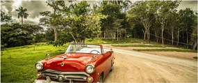 Obraz - auto veterán v prírode (120x50 cm)