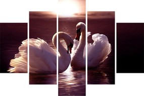 Obraz - Labute na jazere (150x105 cm)