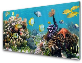 Obraz na skle Koralový útes príroda 125x50 cm