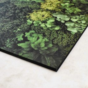 DUBLEZ | Tlačený machový obraz na stenu