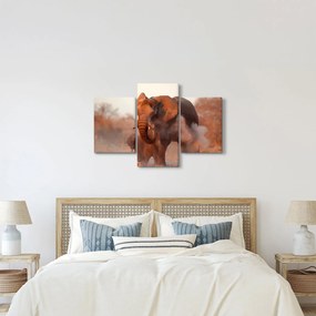 Obraz - Veľký slon africký (90x60 cm)