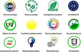 Diolamp LED Filament Mini Globe žiarovka číra G45 5W/230V/E14/2700K/680Lm/360°