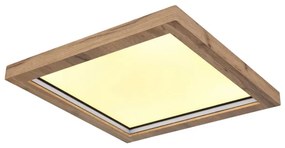 Globo 41374-24 - LED RGBW Stmievateľné stropné svietidlo BRANZA LED/24W/230V + DO