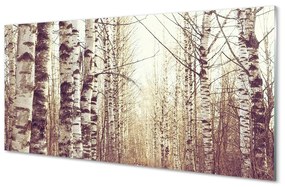 Nástenný panel  stromy 120x60 cm