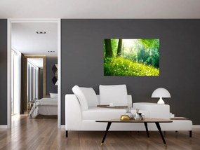 Obraz - Magická lúka plná púpav (90x60 cm)