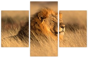Obraz - Národný park Etosha (90x60 cm)