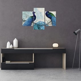 Obraz - Pávy s textúrami (90x60 cm)