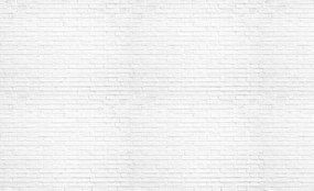 Fototapeta - Biely múr (254x184 cm)