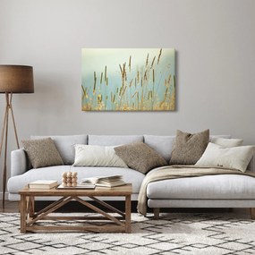 Obraz - Lúčny okamih (90x60 cm)