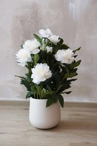 Umelá pivonka v krémovom kvetináči PEONY, výška 70 cm, biela