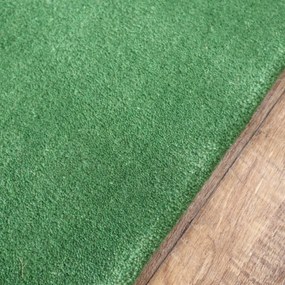 Asra, Ručne všívaný kusový koberec Asra wool sv. zelená, 60x110, zelená, obývacia izba