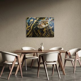 Sklenený obraz - Pytón (70x50 cm)