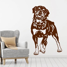 Veselá Stena Samolepka Pes Rotvajler Farba: hnědá, Veľkosť: 80 x 50 cm