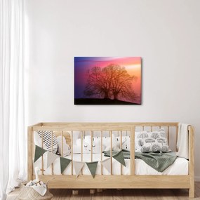 Obraz stromov v hmle (70x50 cm)