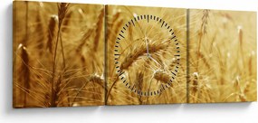 Obraz - Klasy obilia (s hodinami) (90x30 cm)
