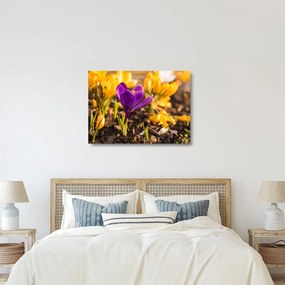 Sklenený obraz fialovej kvetiny (70x50 cm)