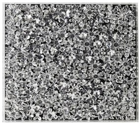 Silver Flower obraz čierny/strieborný 100x100 cm