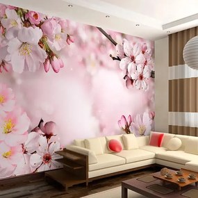 Fototapeta - Spring Cherry Blossom Veľkosť: 250x175, Verzia: Premium