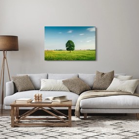 Obraz stromu na lúke (90x60 cm)