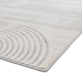 Sivý/béžový koberec 220x160 cm Apollo - Think Rugs