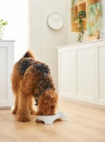 Rotho Miska na krmivo a vodu pre psov a mačky, dvojitá s vekom, SALLY - krémová