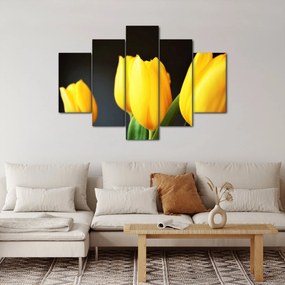 Obraz tulipánov (150x105 cm)