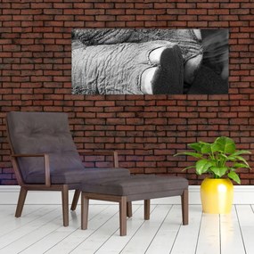 Obraz - Slonia noha (120x50 cm)