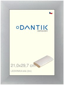 DANTIK rám na obraz 21x29,7 | LEDVINKA bílá (Sklo Čiré)
