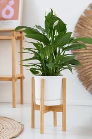 Stojan na kvety NEST