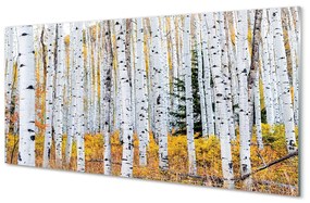 Nástenný panel  jesene breza 120x60 cm