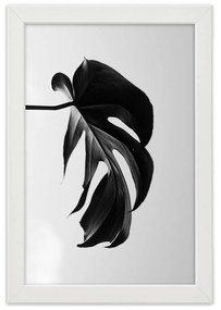 Gario Plagát Čierna a biela monstera list Farba rámu: Hnedá, Rozmery: 30 x 45 cm