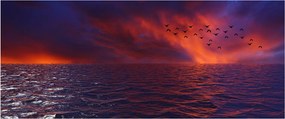 Obraz mora s vtákmi (120x50 cm)