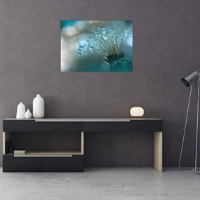 Sklenený obraz - Púpava - petrolej (70x50 cm)