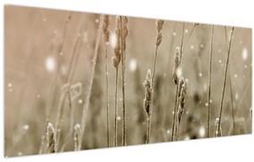 Obraz - Harmonická lúka (120x50 cm)