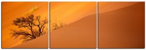 Obraz na plátne - Červené piesočné duny - panoráma 5133B (120x40 cm)