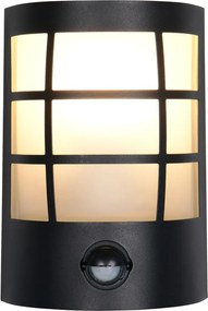 Nástenné vonkajšie svietidlo (výška 20 cm) Sintra – Trio