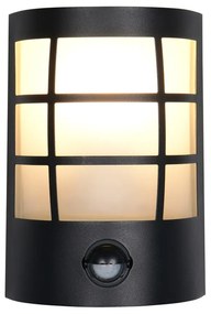 Nástenné vonkajšie svietidlo (výška 20 cm) Sintra – Trio