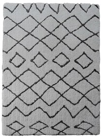 Koberec Shaggy Auckland 1,4/1,9 TD1078-B1